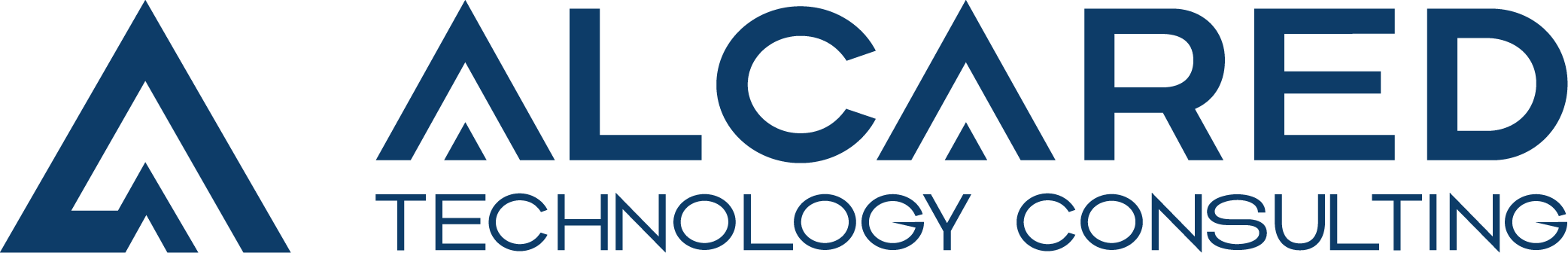 TECHNOLOGY CONSULTING v1